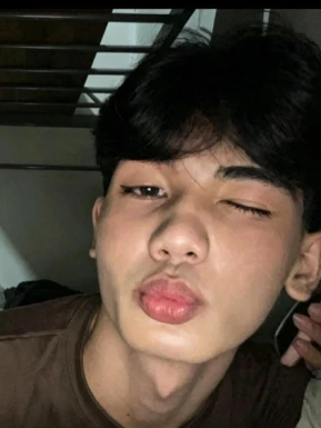 Thai ladyboys for dating / Ladyboys from Philippines for dating